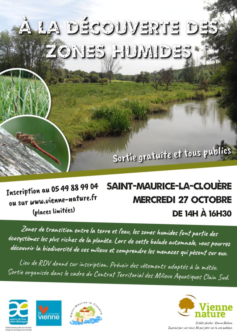 2021-10-27-Zones humides St Maurice la Clouère