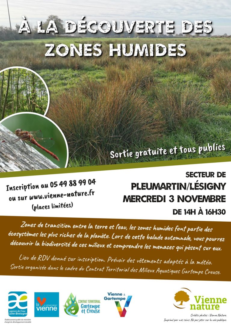 2021-11-03-Zones humides secteur de Pleumartin-Lésigny