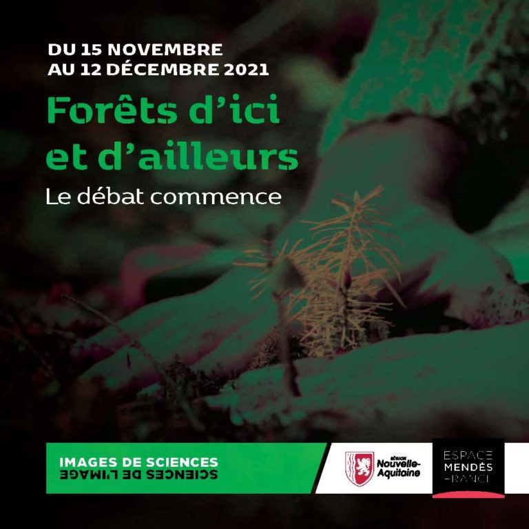 Images-de-sciences-2021-Couverture-web_0
