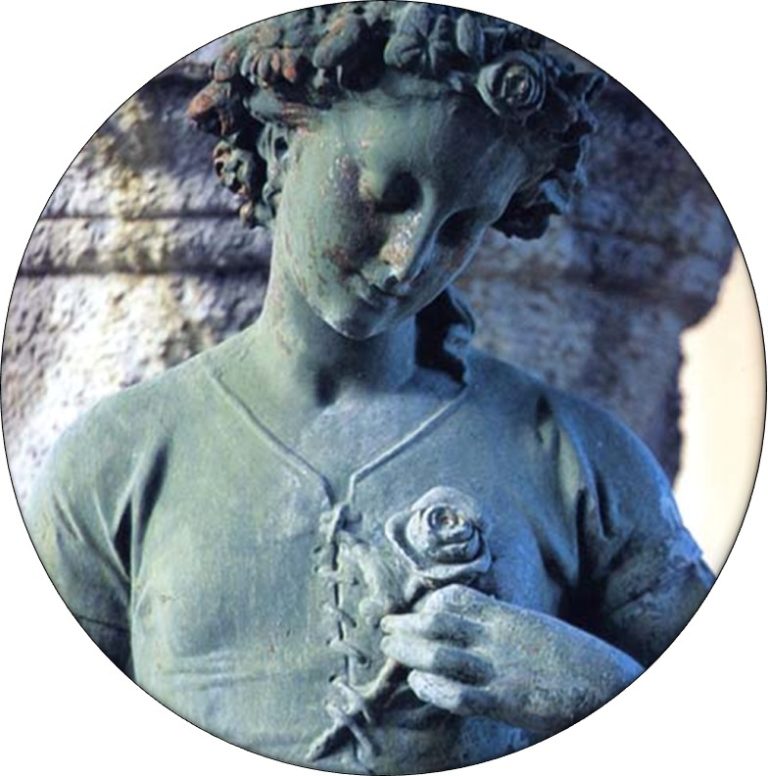 Statut à la rose