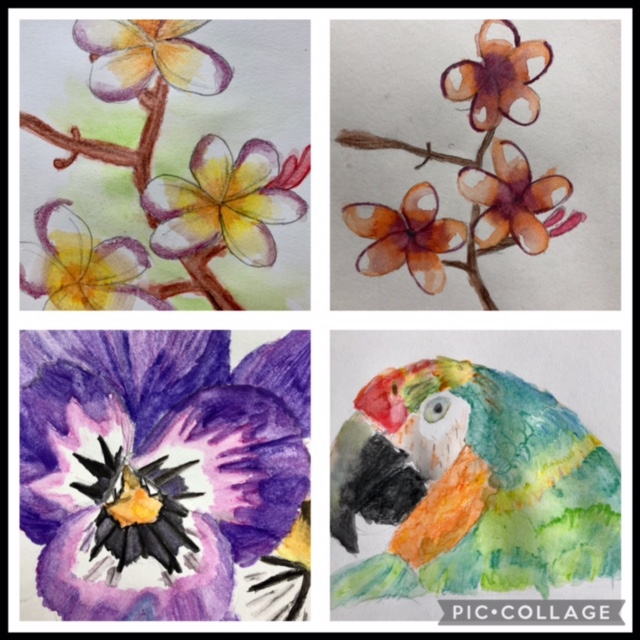 atelier crayons aquarellables
