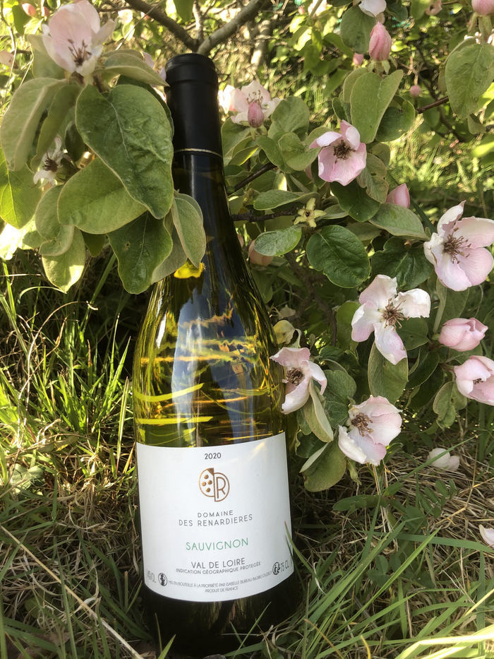 Domaine des renardière