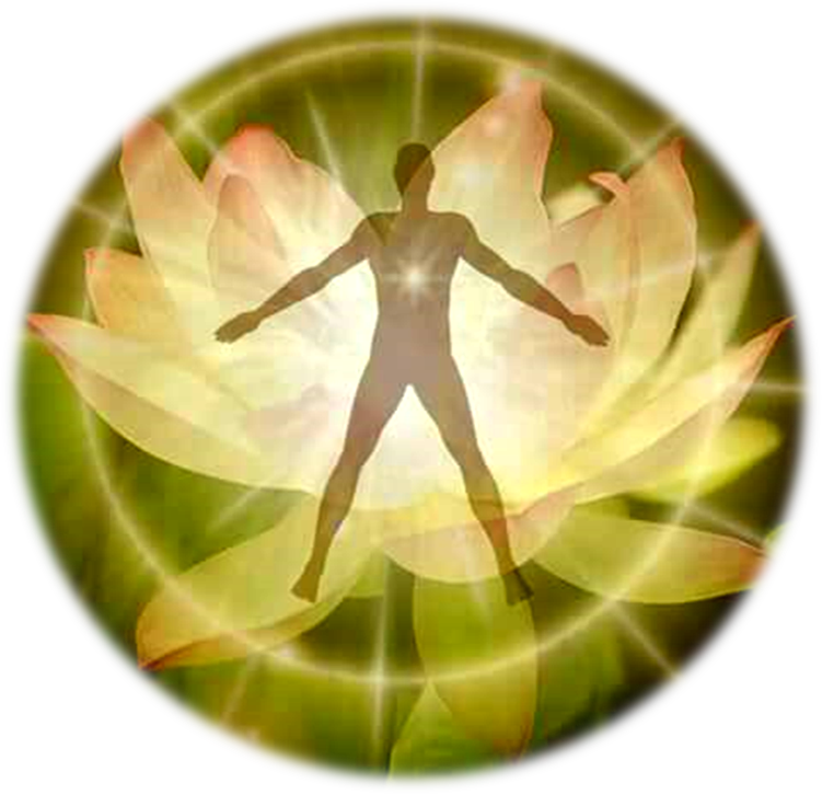 homme lotus