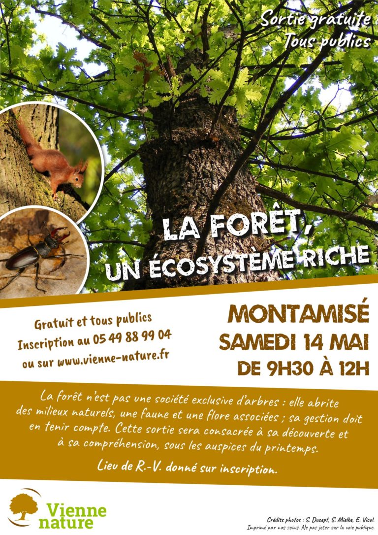 2022-05-14-Affiche Forêt
