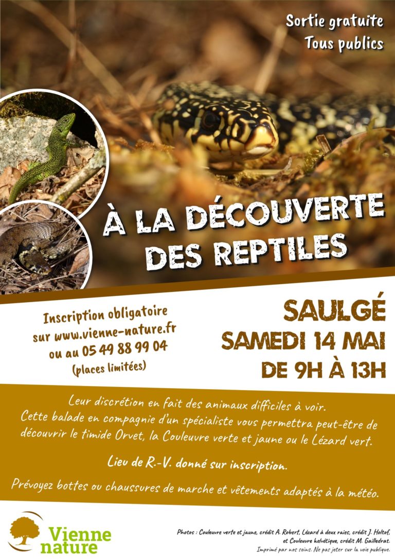 2022-05-14-Affiche Reptiles