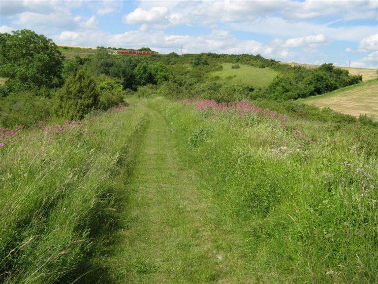 Vallée-des-Buis