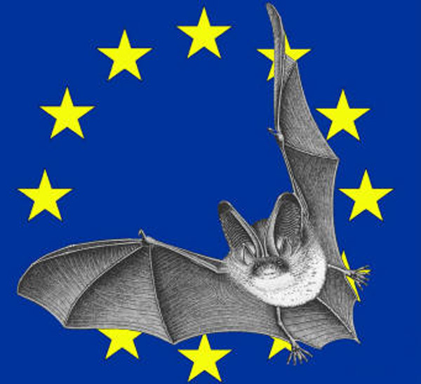 nuit-europeenne-de-la-chauve-souris