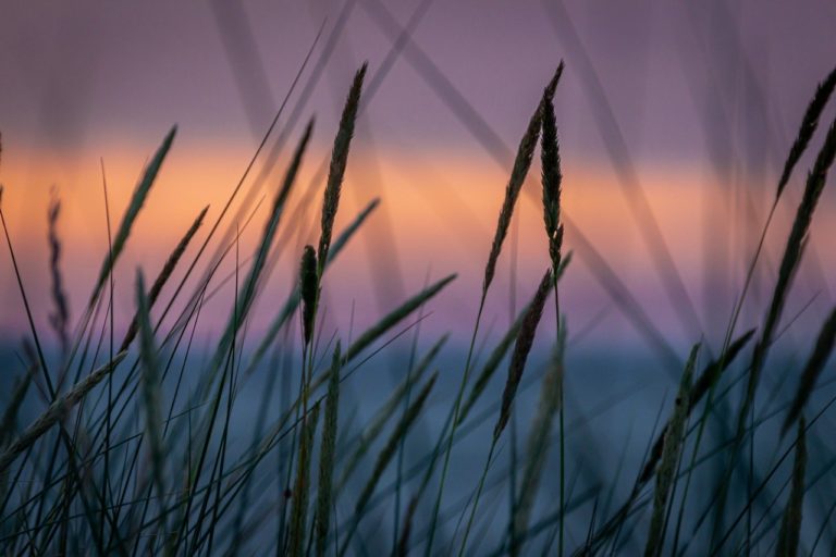 abendstimmung-4315445_1280