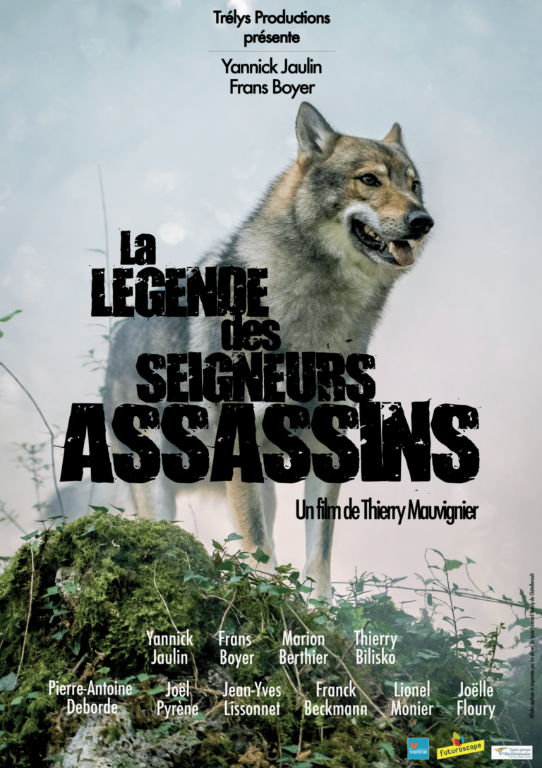 Affiche LLDSA b