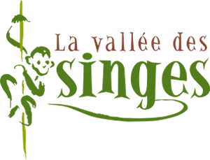 Logo parc La Vallée des Singes