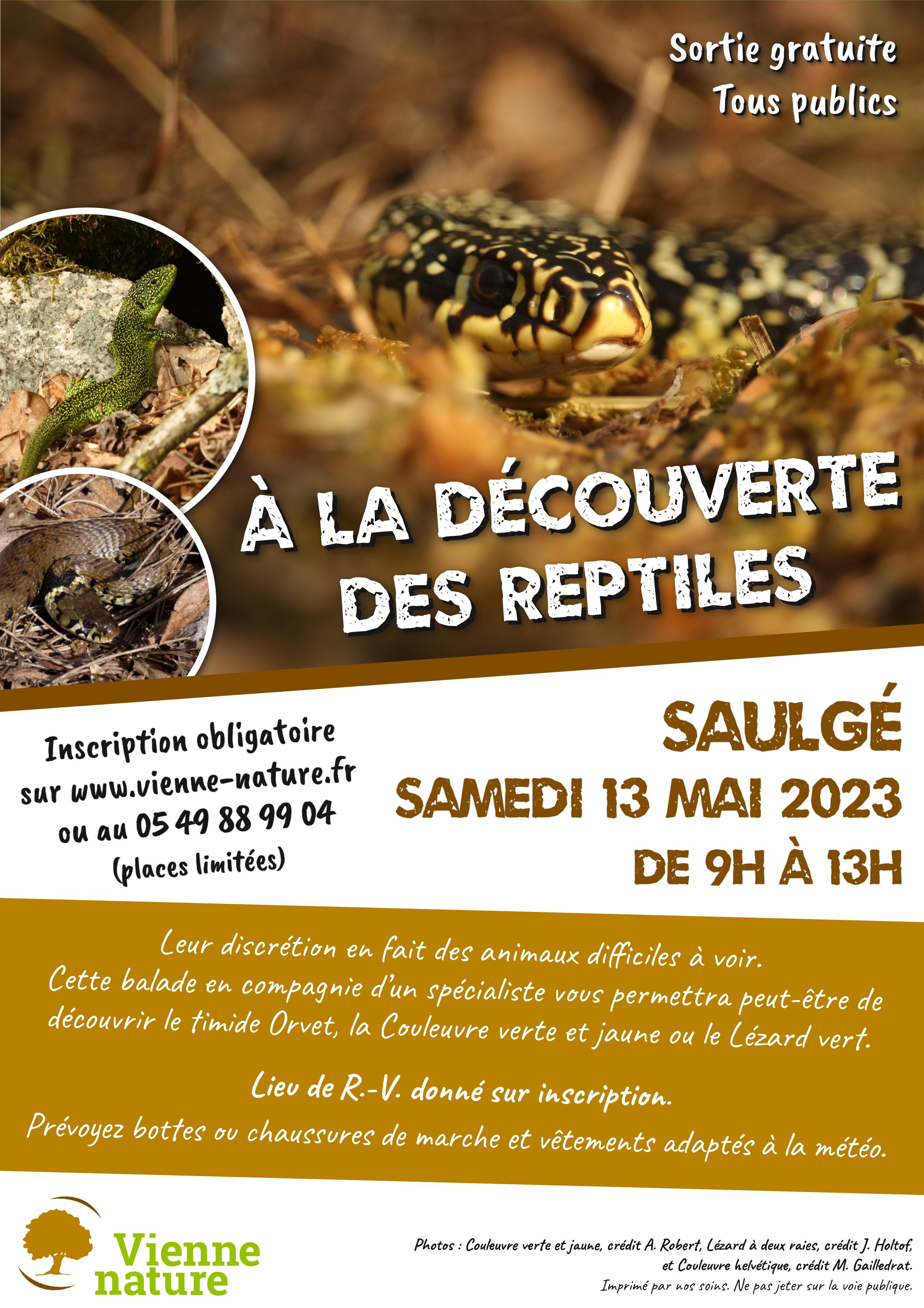 Image evenement