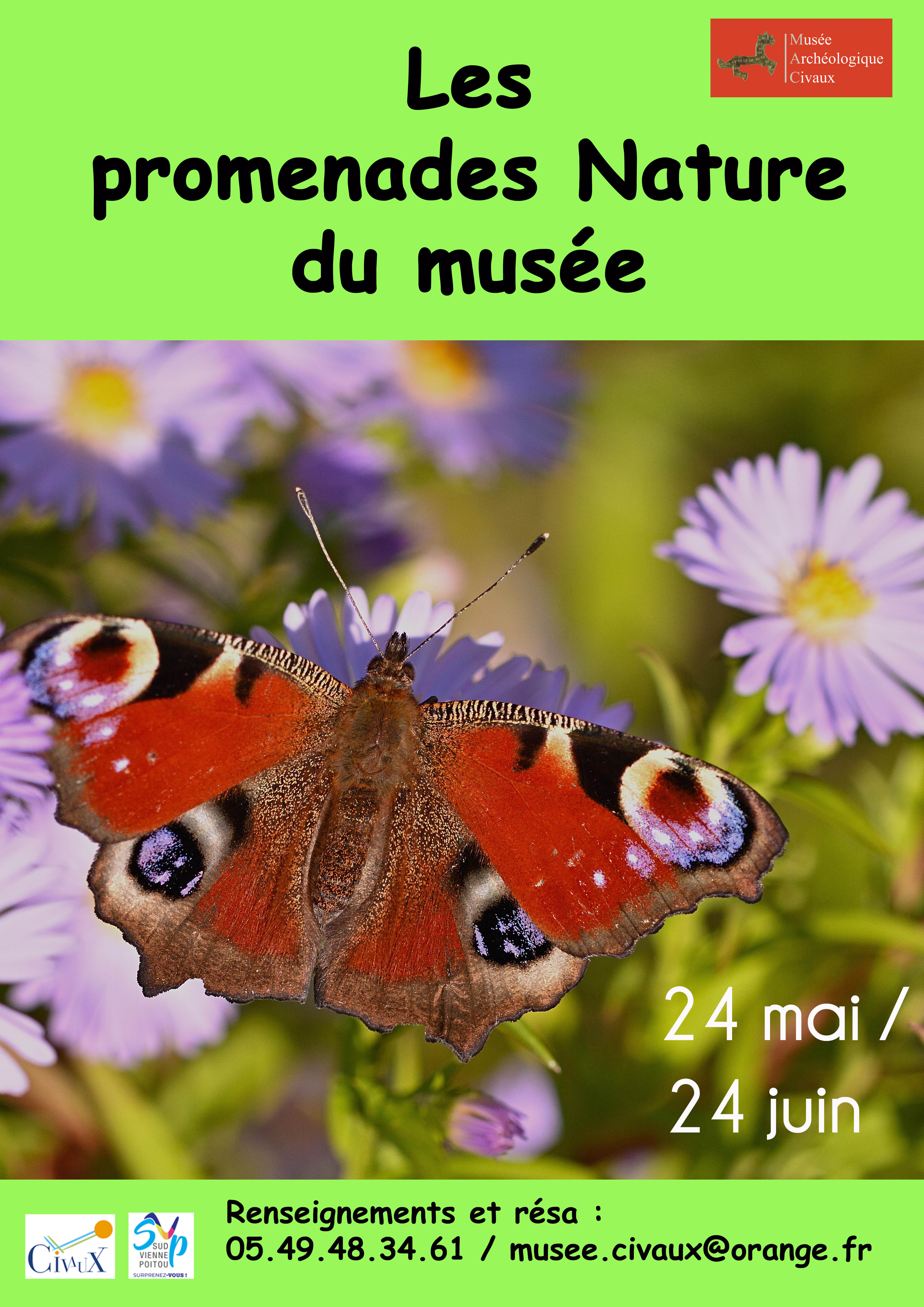 Image evenement