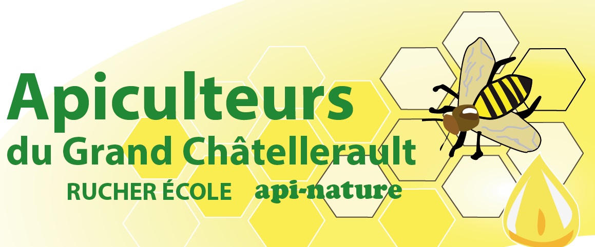 Image evenement