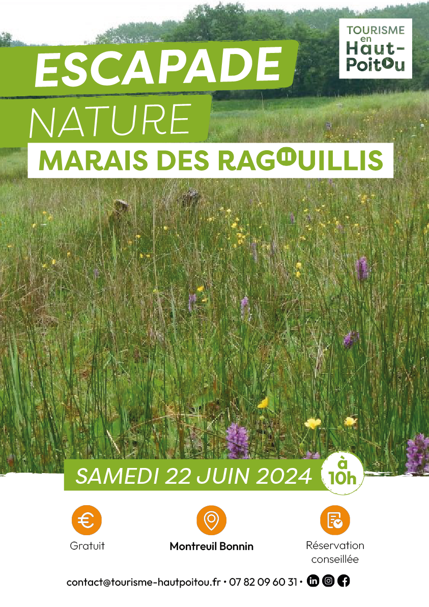 Image evenement