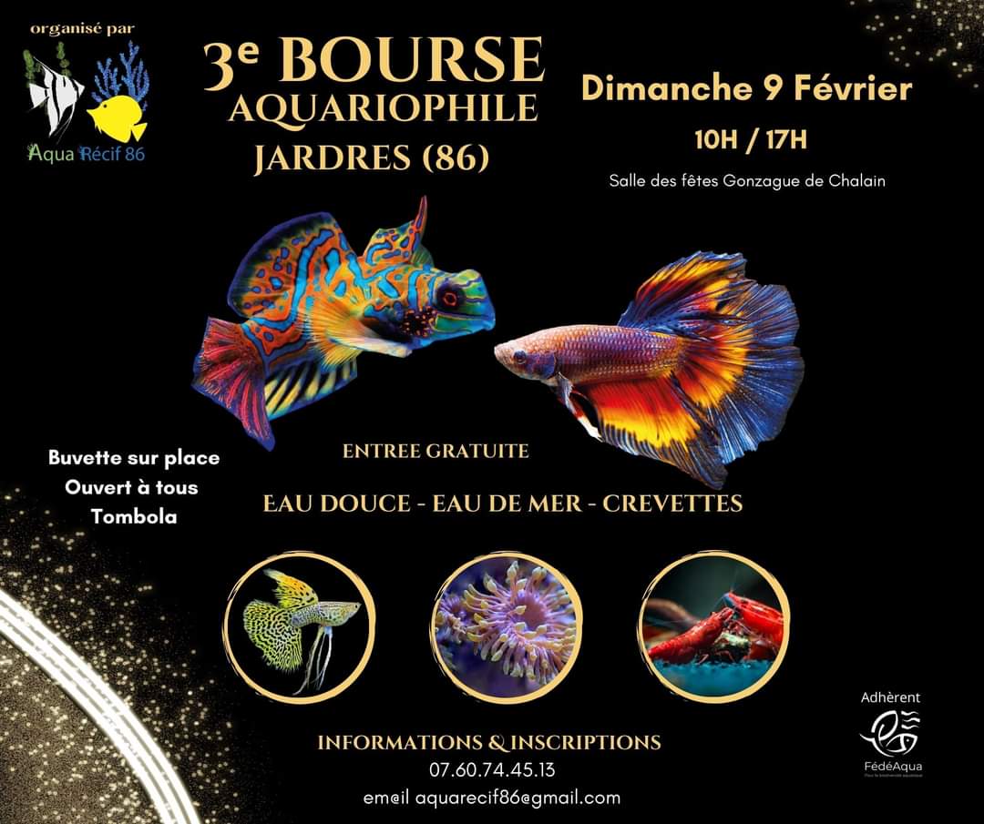 Image evenement