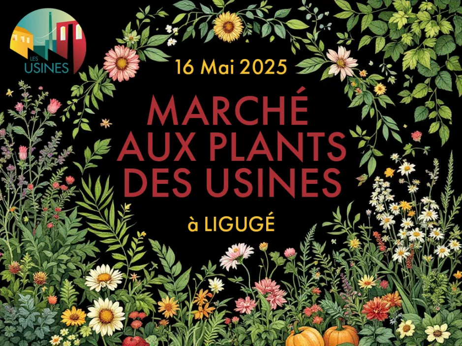 Image evenement